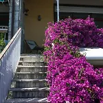 Casa Del Capitano, Terre Marine